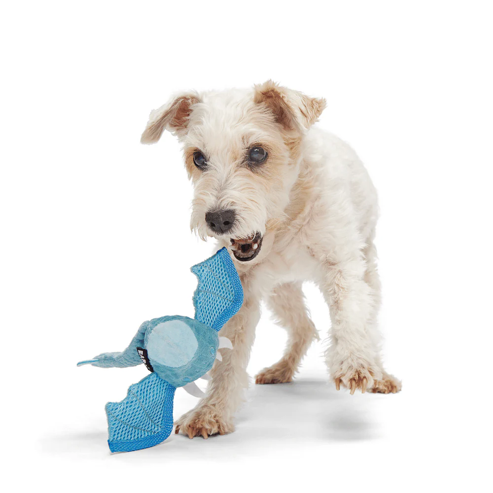 BARK Brrrtha The Dragon Dog Toy - Image 2