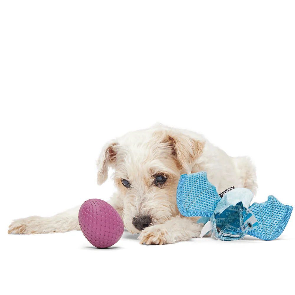 BARK Brrrtha The Dragon Dog Toy - Image 3
