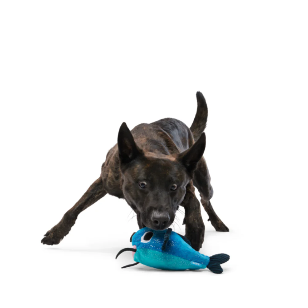 BARK Catfish Claude Dog Toy - Image 3