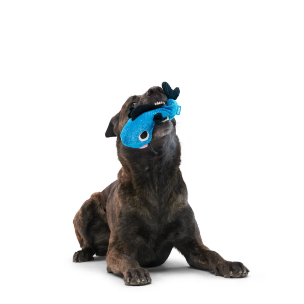 BARK Catfish Claude Dog Toy - Image 4