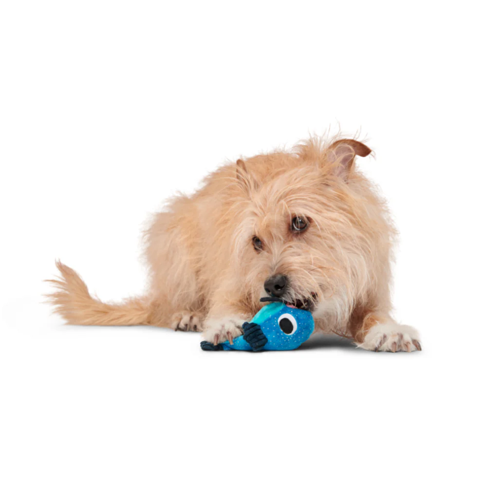 BARK Catfish Claude Dog Toy - Image 5