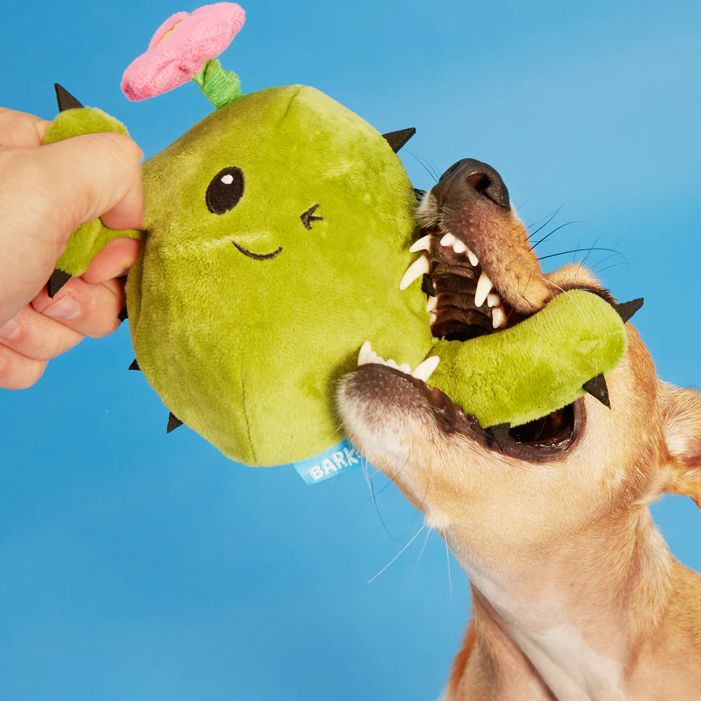 BARK Consuela The Cactus Dog Toy - Image 3