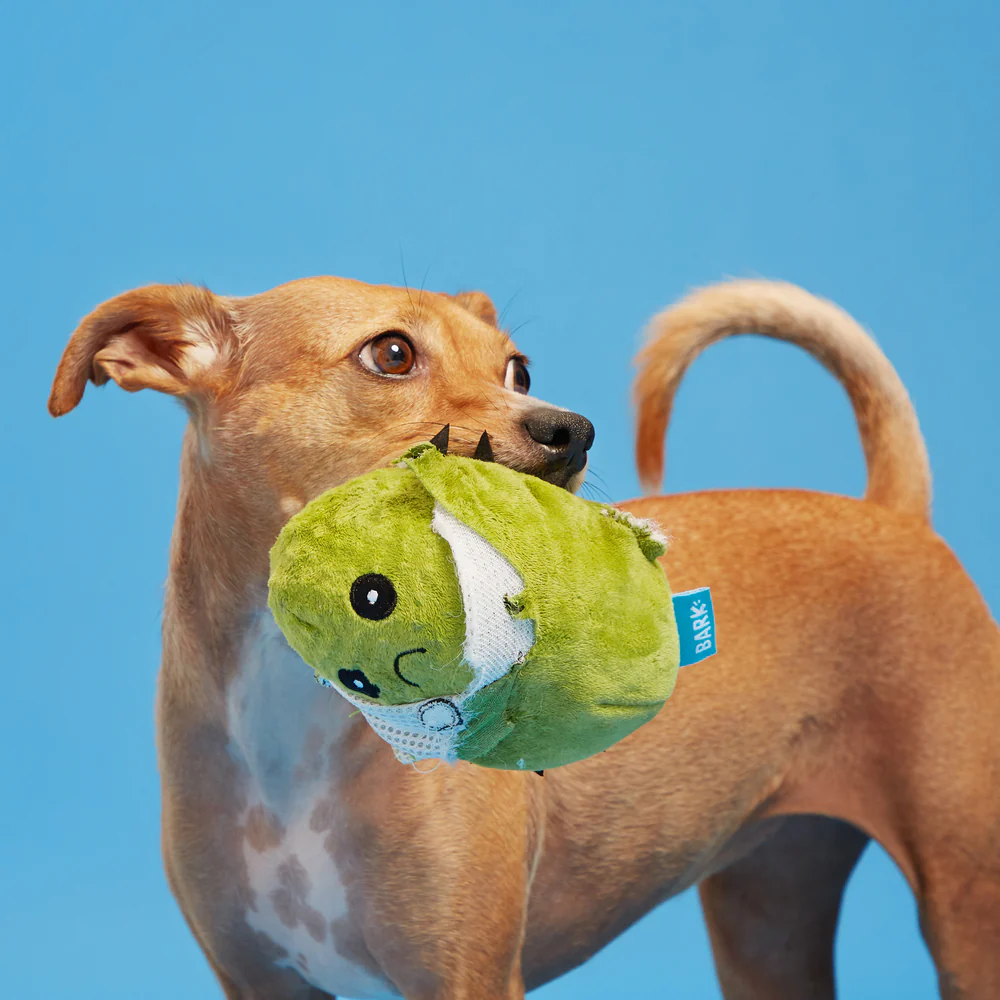 BARK Consuela The Cactus Dog Toy - Image 4