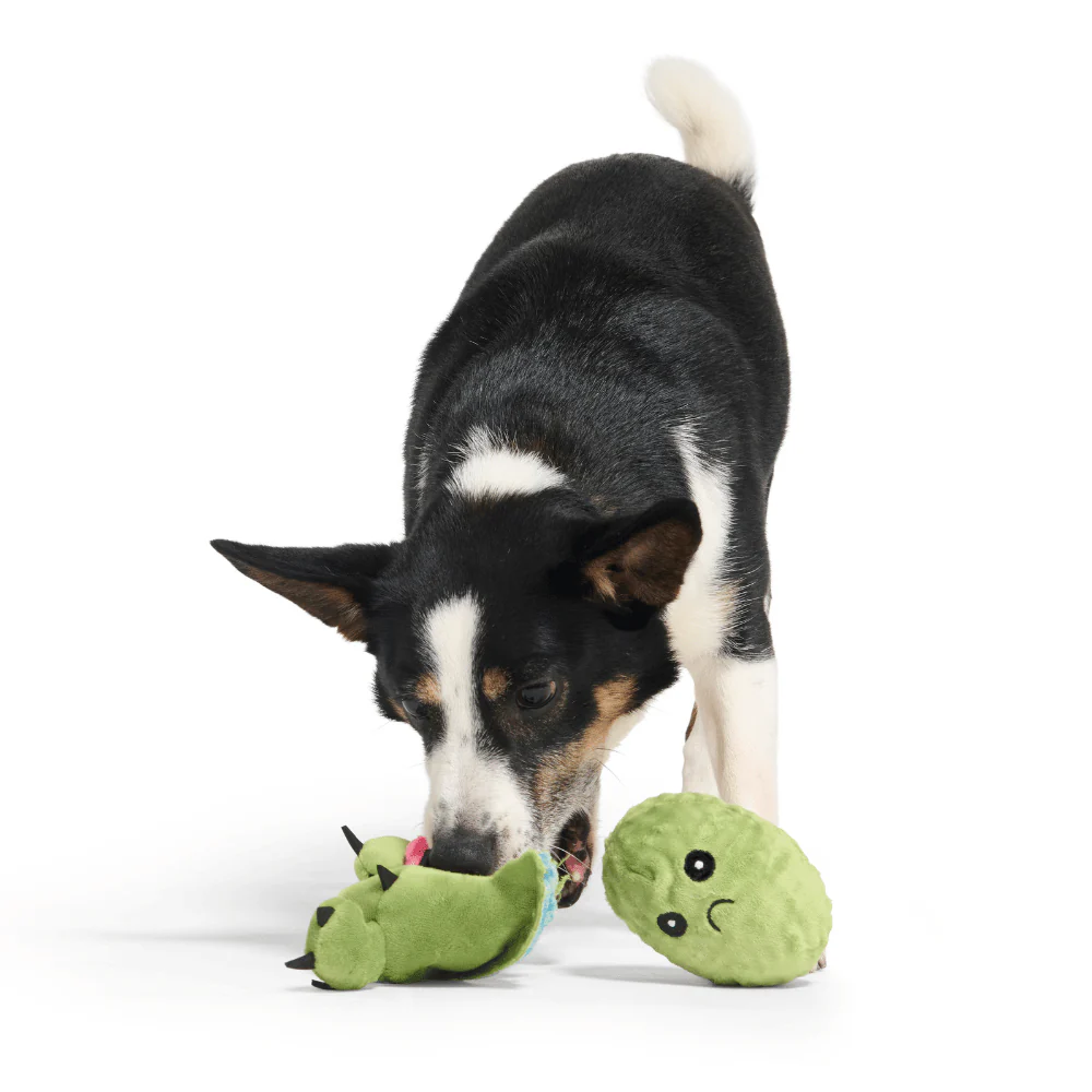 BARK Consuela The Cactus Dog Toy - Image 5