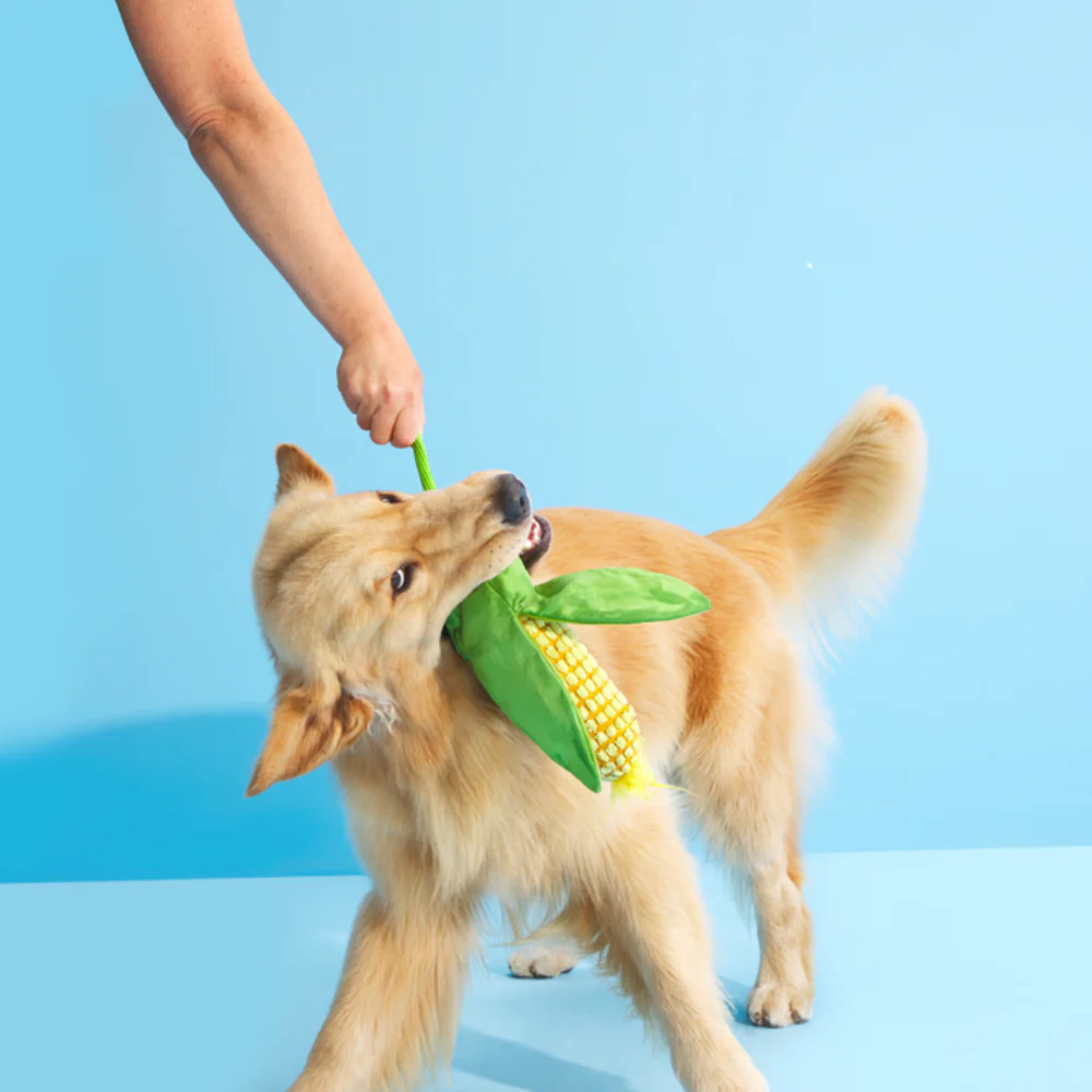 BARK Corn on The Slob Dog Toy - Image 2