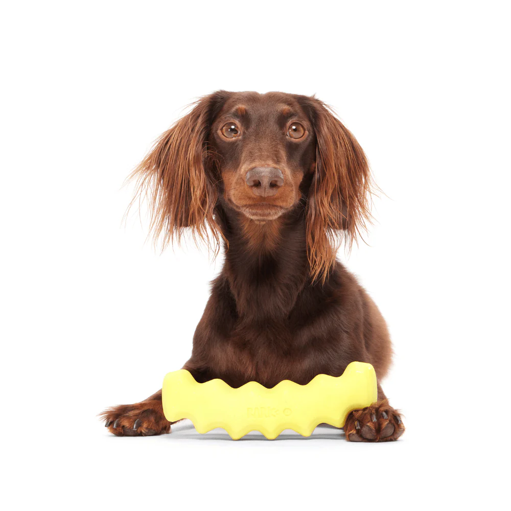 BARK Crinkle Fry Dog Toy - Image 3