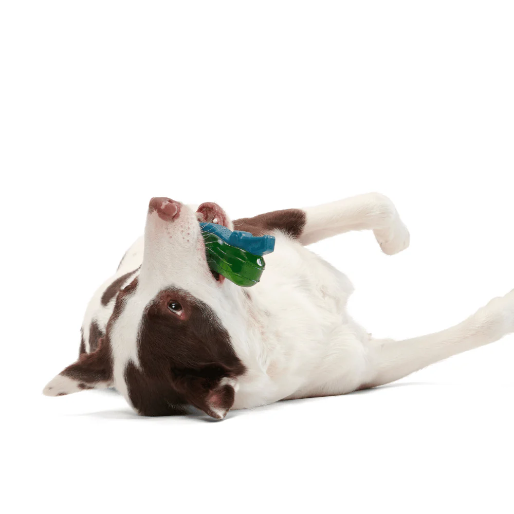 BARK Crocness Monster Dog Toy - Image 3