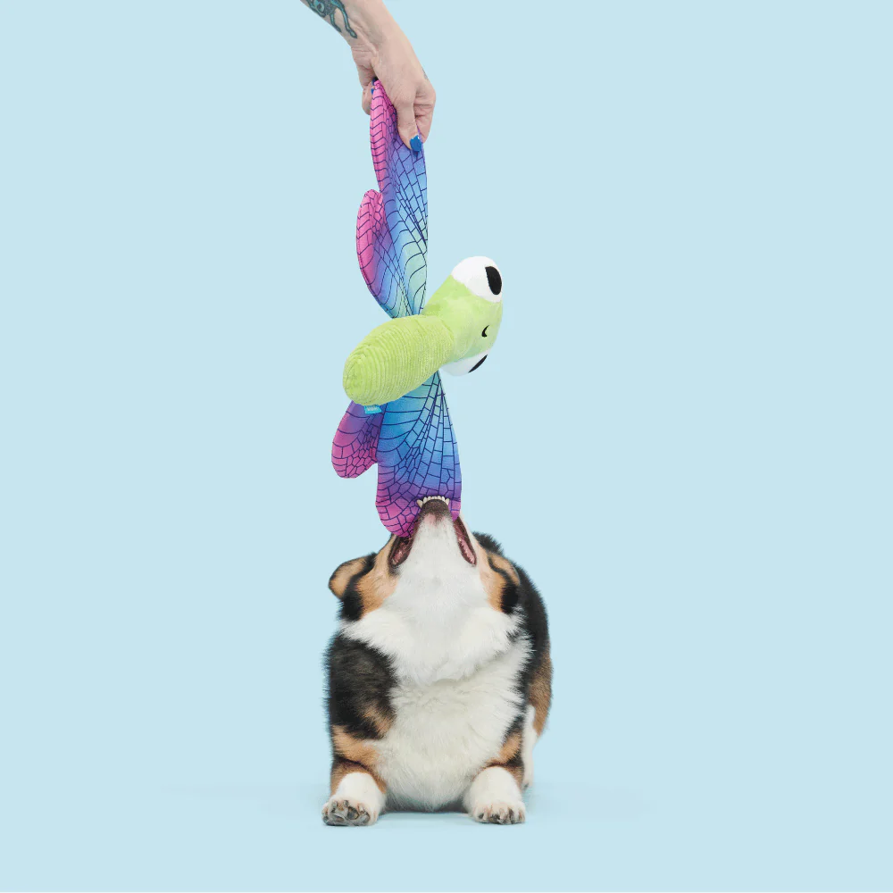 BARK Dragonfly Guy Dog Toy - Image 2