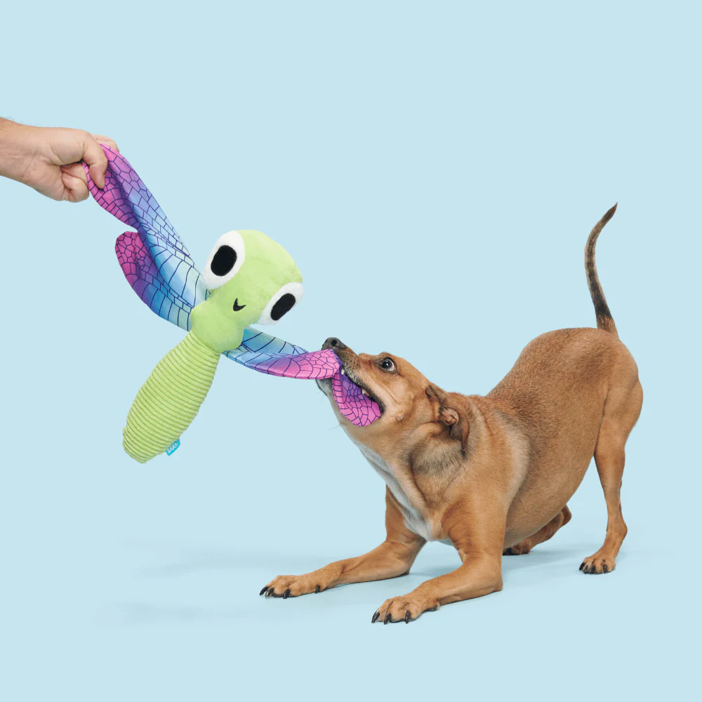BARK Dragonfly Guy Dog Toy - Image 3