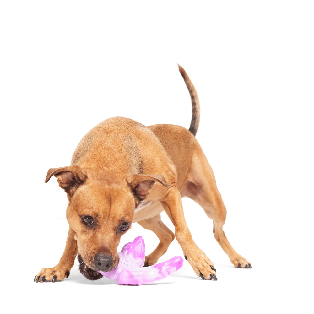 BARK Fairy Dogmother Dog Toy - Image 3