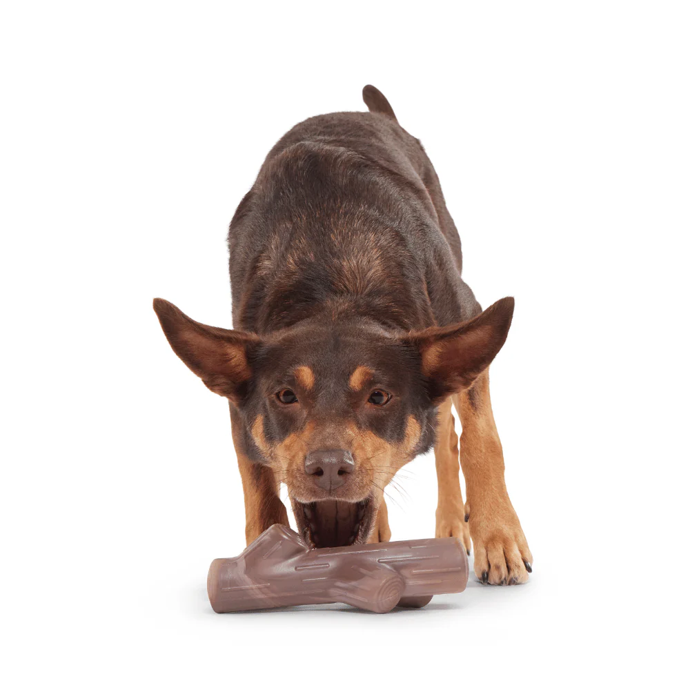 BARK Fall Fetch Stick Dog Toy - Image 3