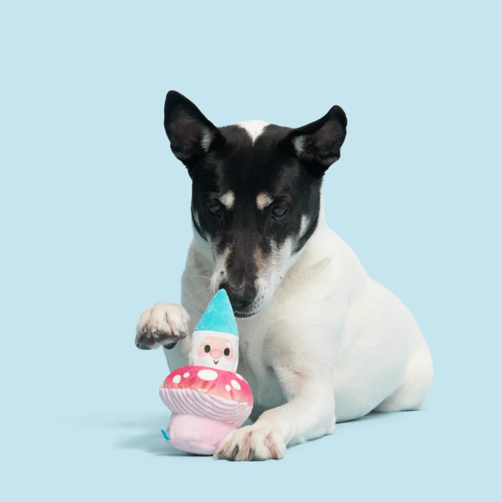 BARK Fun Guy Gnomie Homie Dog Toy - Image 2