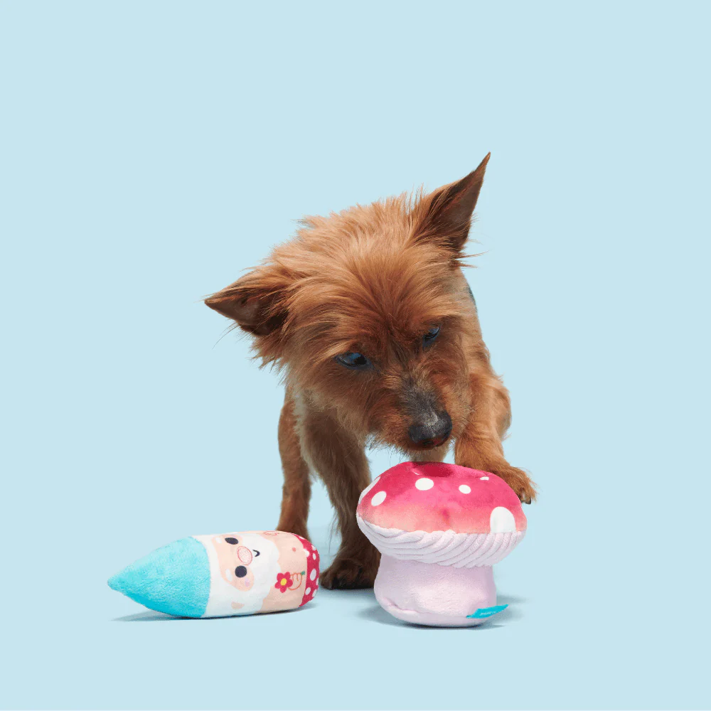 BARK Fun Guy Gnomie Homie Dog Toy - Image 3