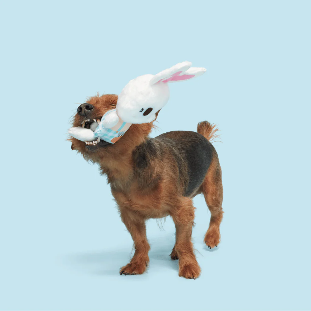BARK Green Thumb Bun Dog Toy - Image 3