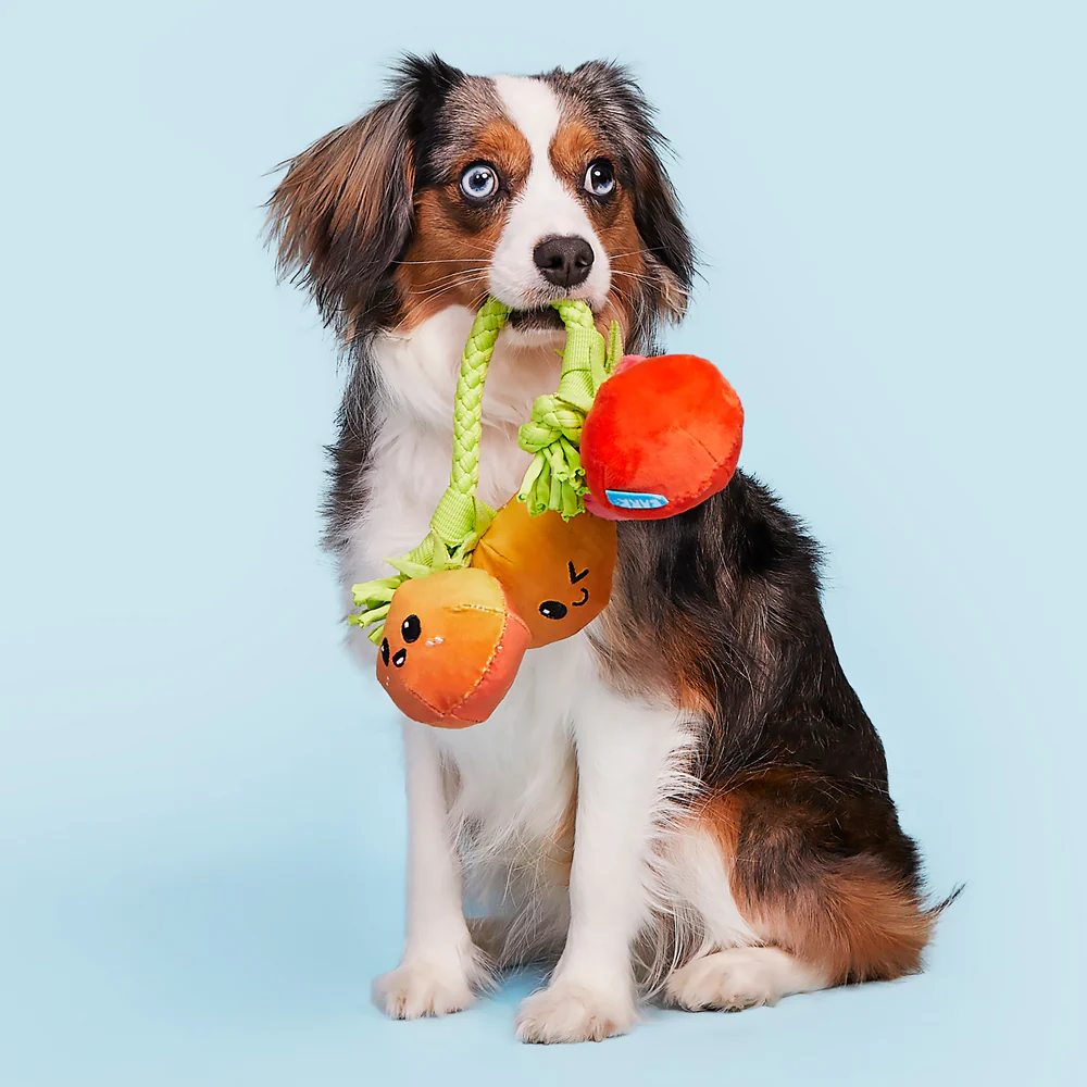 BARK Hairloom Tomatoes Dog Toy - Image 2
