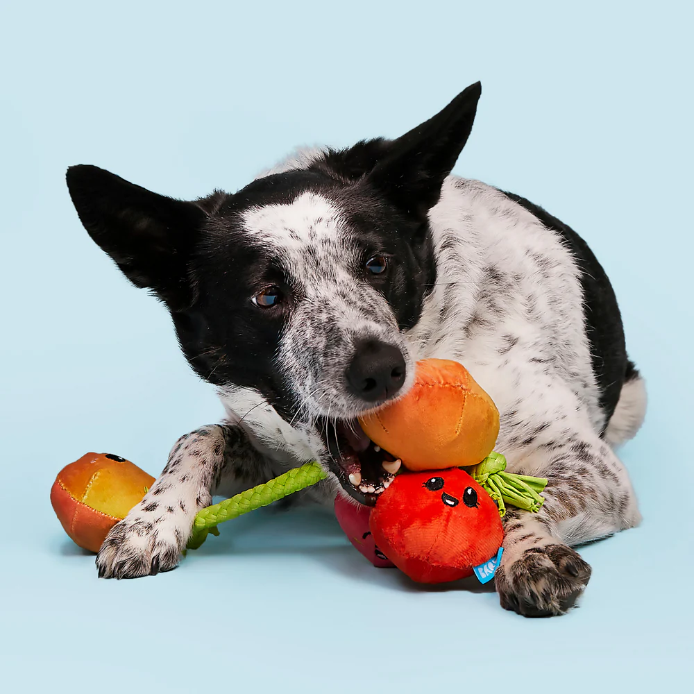 BARK Hairloom Tomatoes Dog Toy - Image 3
