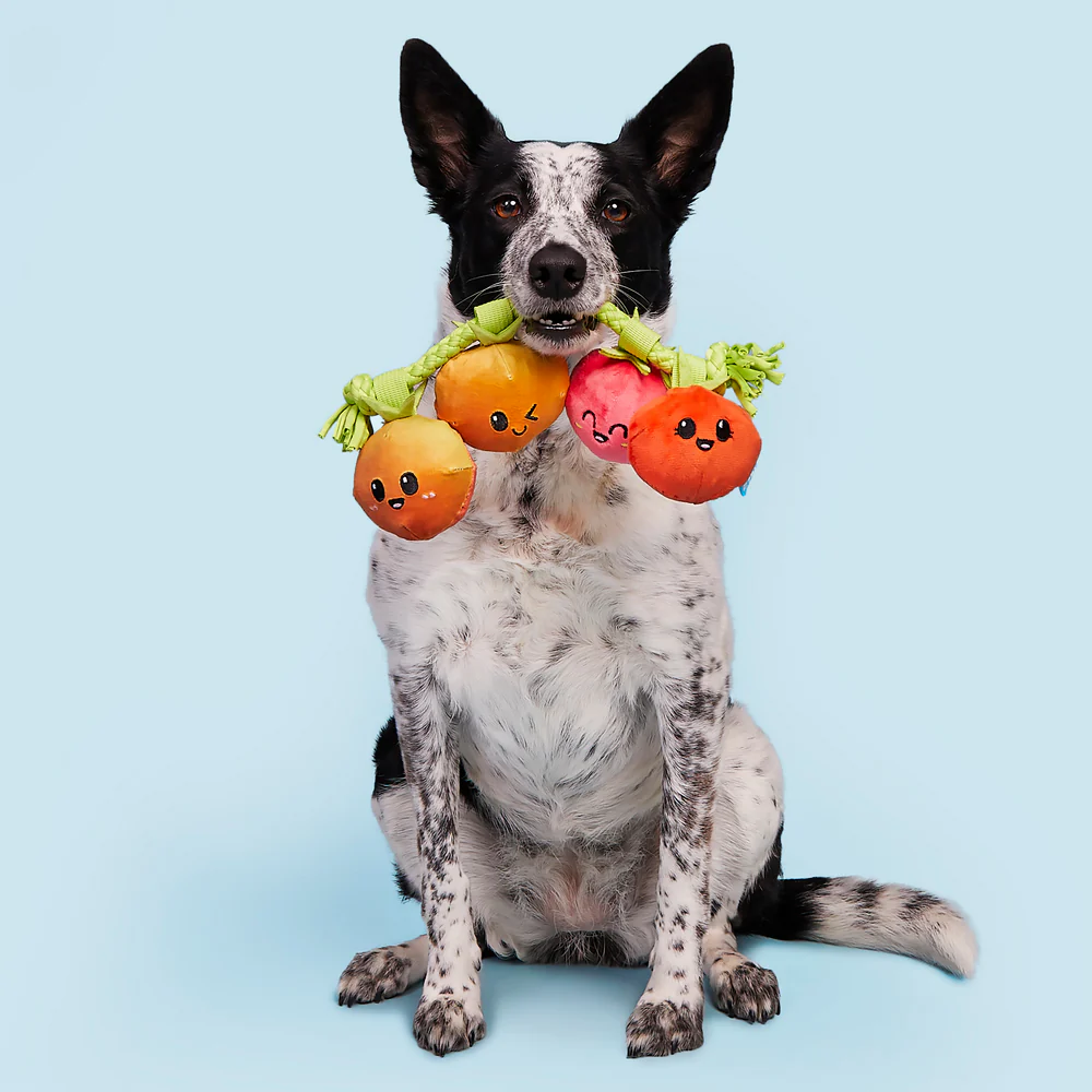 BARK Hairloom Tomatoes Dog Toy - Image 4