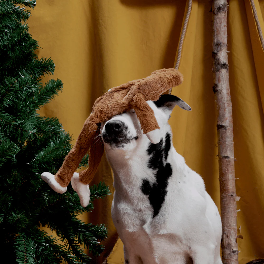 BARK Hairy Henderson Dog Toy - Image 2
