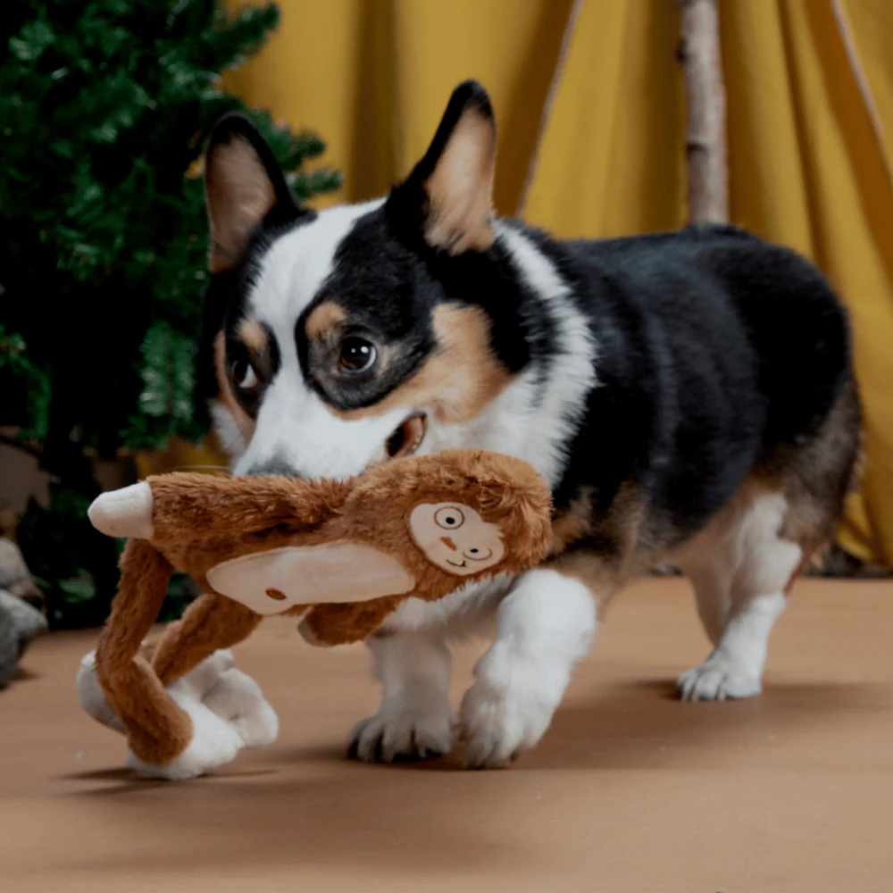 BARK Hairy Henderson Dog Toy - Image 3