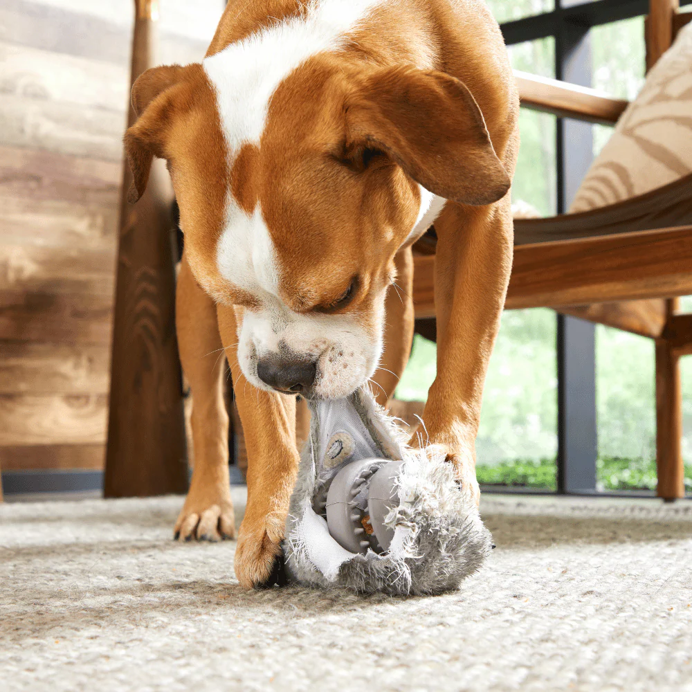 BARK Hare Raiser Dog Toy - Image 3