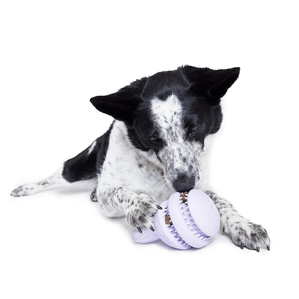 BARK Hippie Hopper Dog Toy - Image 3