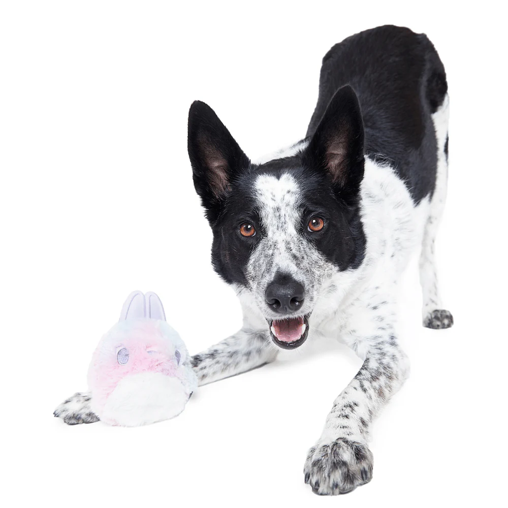 BARK Hippie Hopper Dog Toy - Image 4