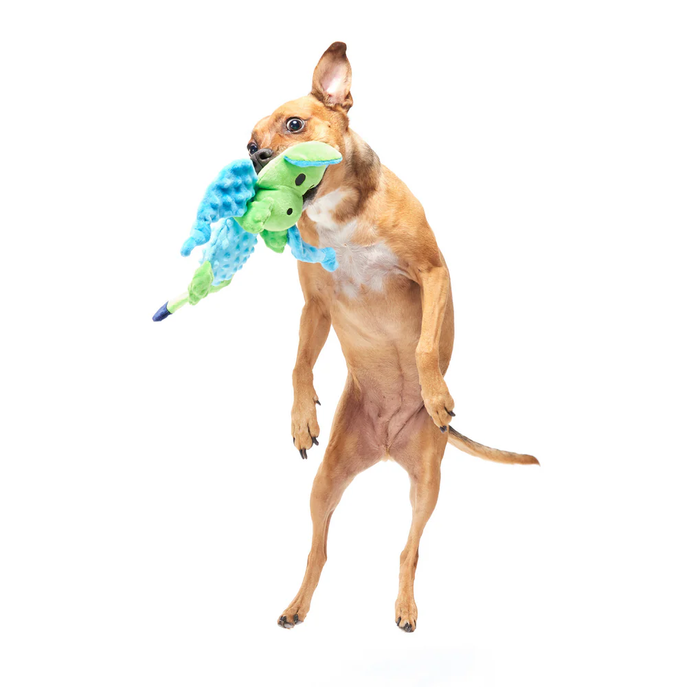 BARK Humbert The Dragon Dog Toy - Image 2