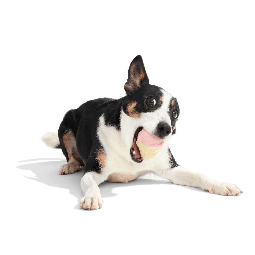 BARK I-Squeak Cone Dog Toy - Image 3