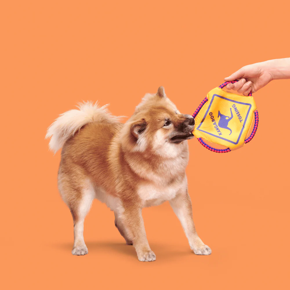 BARK Kangaroo Tossing Dog Toy - Image 2