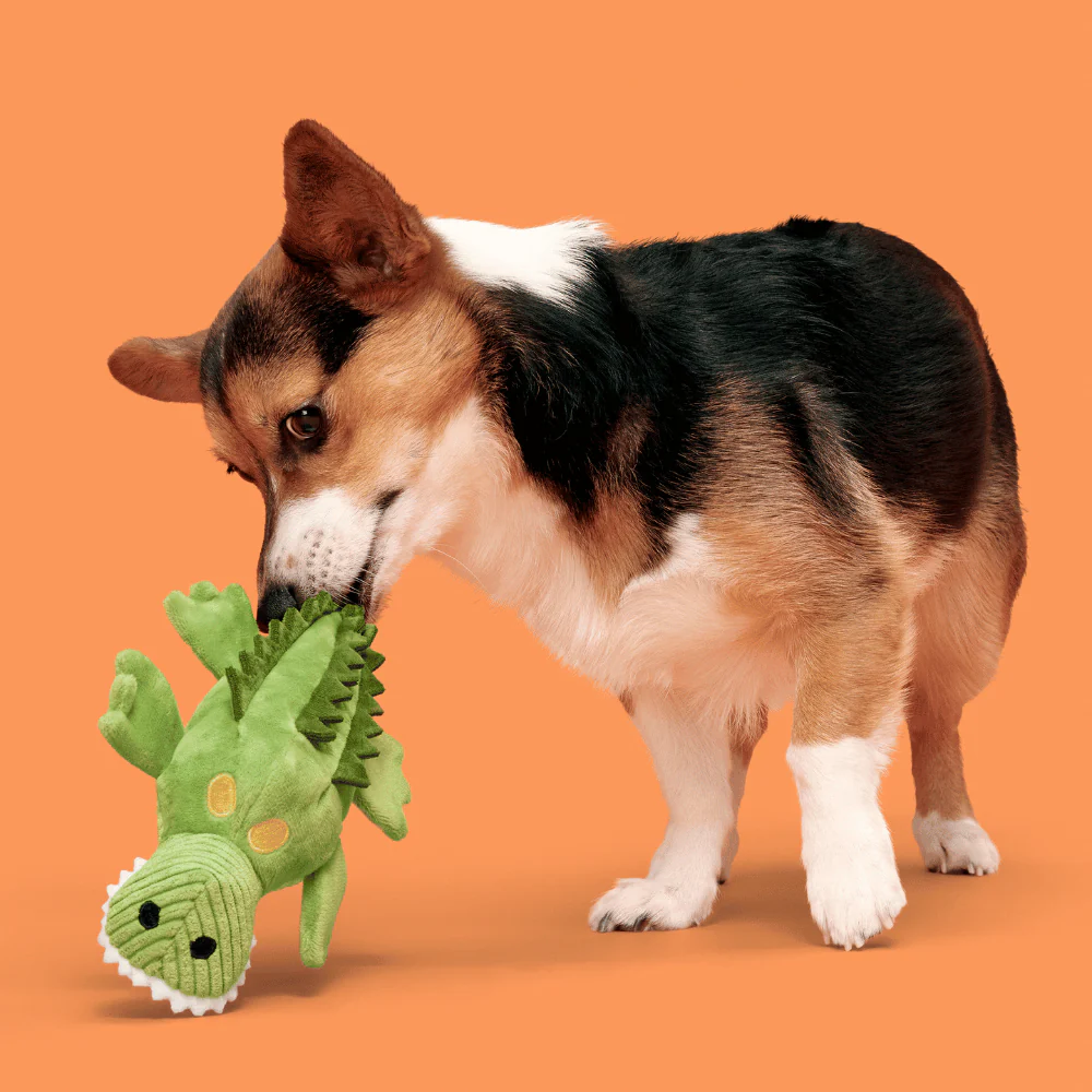 BARK Karri Crocodile Dog Toy - Image 3
