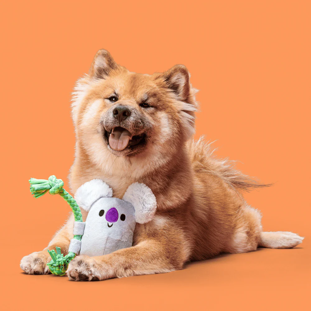 BARK Koa Koala Dog Toy - Image 2