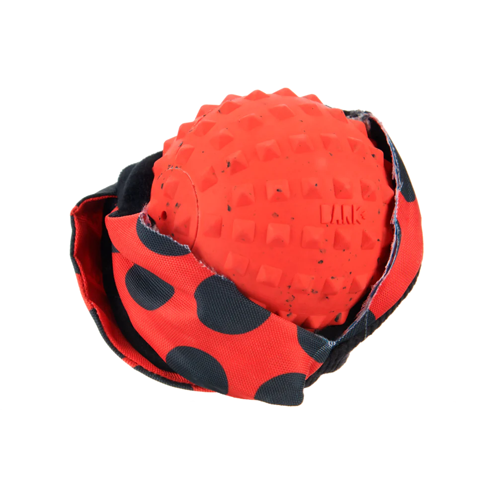 BARK Lady Bugsy Dog Toy - Image 2