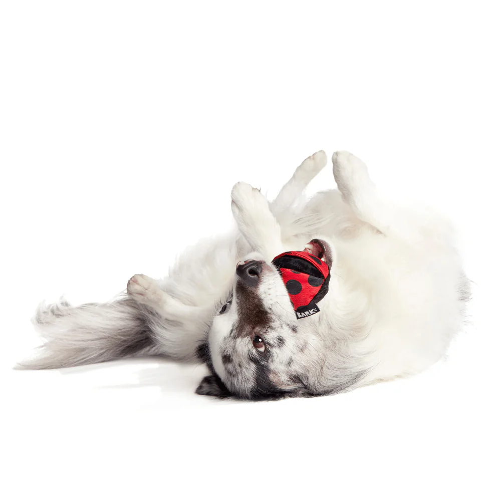 BARK Lady Bugsy Dog Toy - Image 3