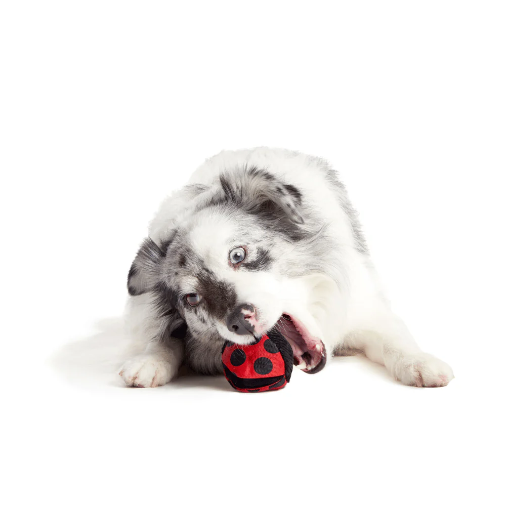 BARK Lady Bugsy Dog Toy - Image 4