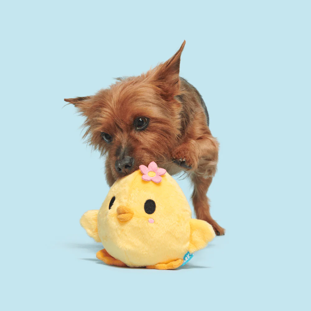 BARK Lil’ Hennifer Dog Toy - Image 3
