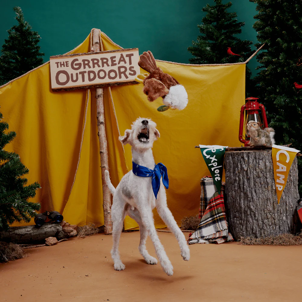 BARK Majestic Marty Dog Toy - Image 2