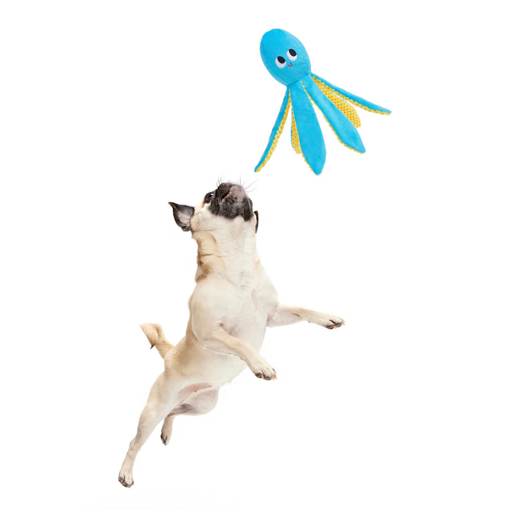 BARK Odd Otto Dog Toy - Image 2