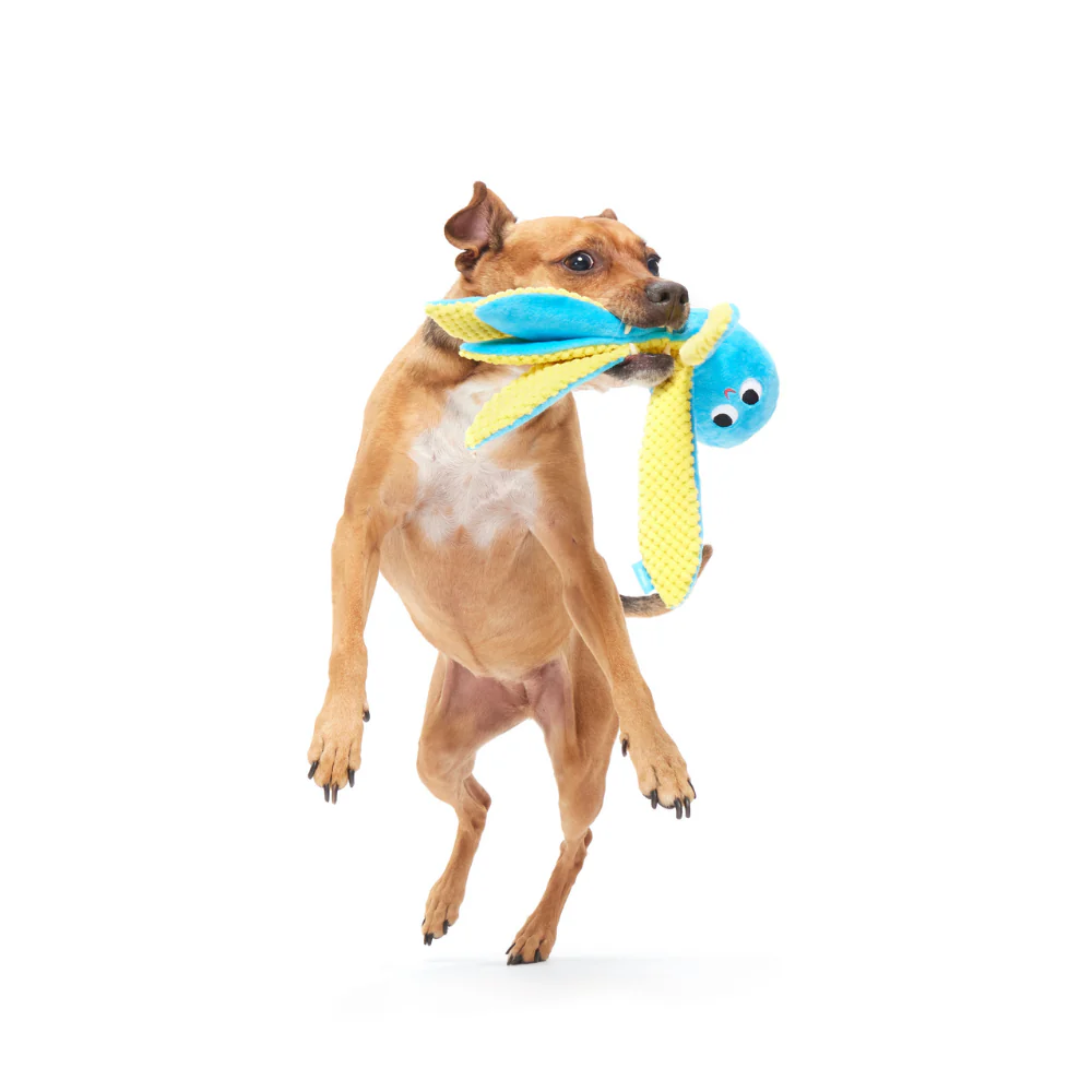 BARK Odd Otto Dog Toy - Image 4