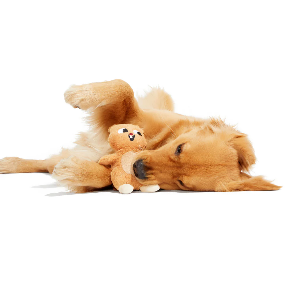 BARK Pearl Squirrel Dog Toy - Image 2