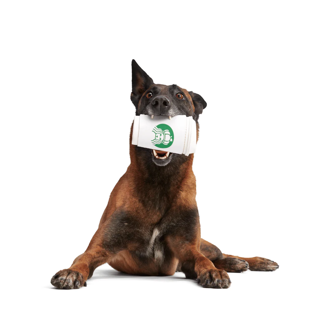 BARK Pupkin Spice Yappucino Dog Toy - Image 3