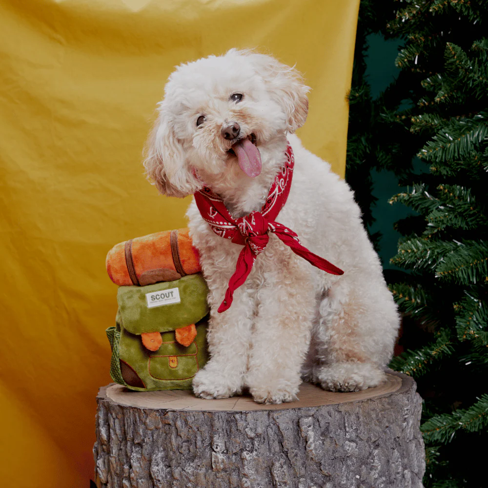 BARK Rowdy Ruckus Rucksack Dog Toy - Image 3