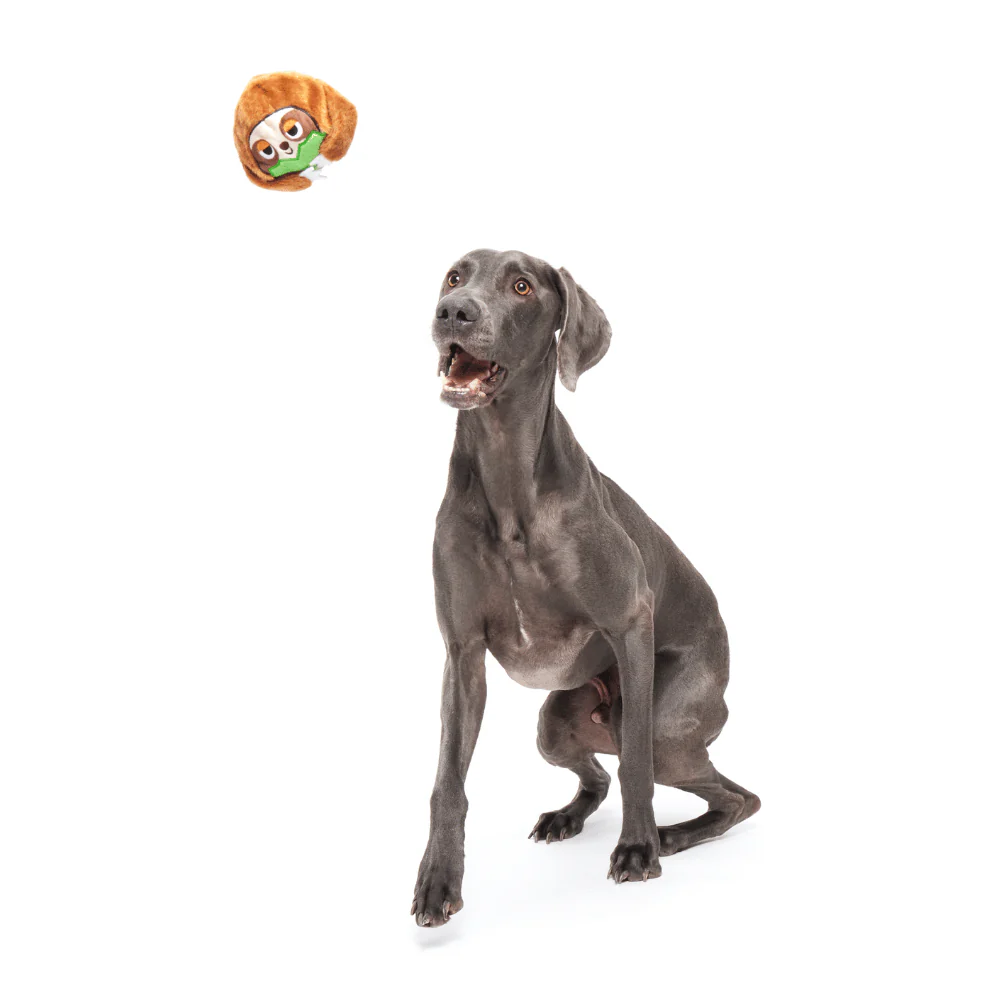 BARK Sonny The Sloth Dog Toy - Image 3