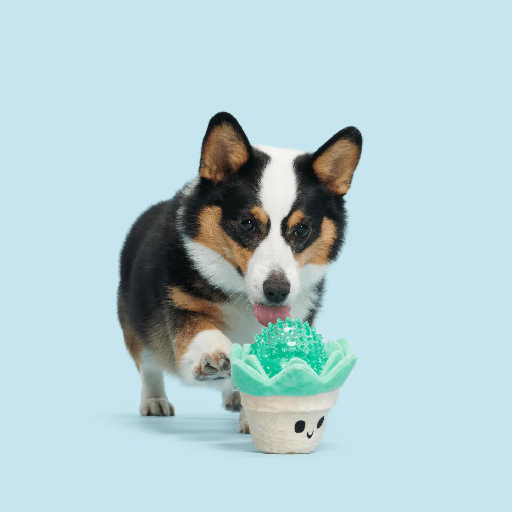 BARK Suki Succulent Dog Toy - Image 2