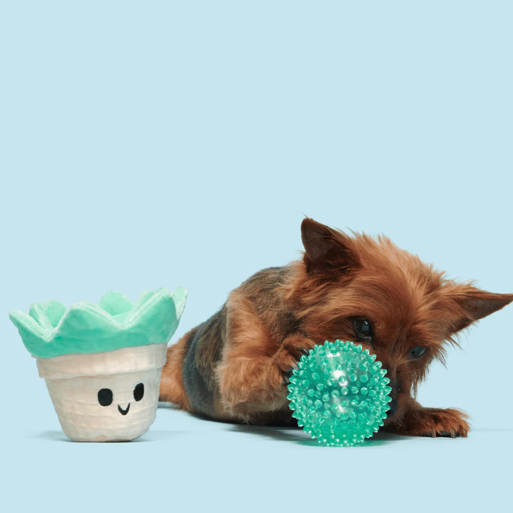 BARK Suki Succulent Dog Toy - Image 3