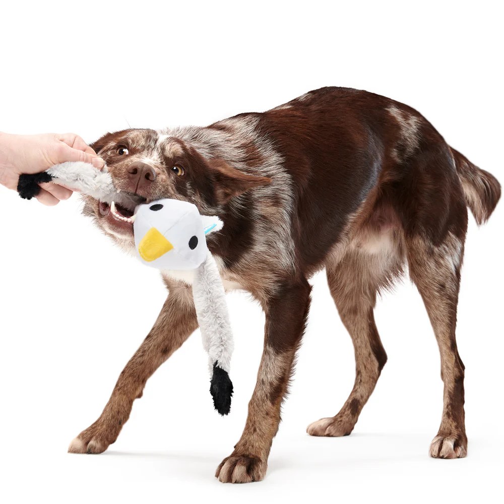 BARK Sully The Gully Dog Toy - Image 3