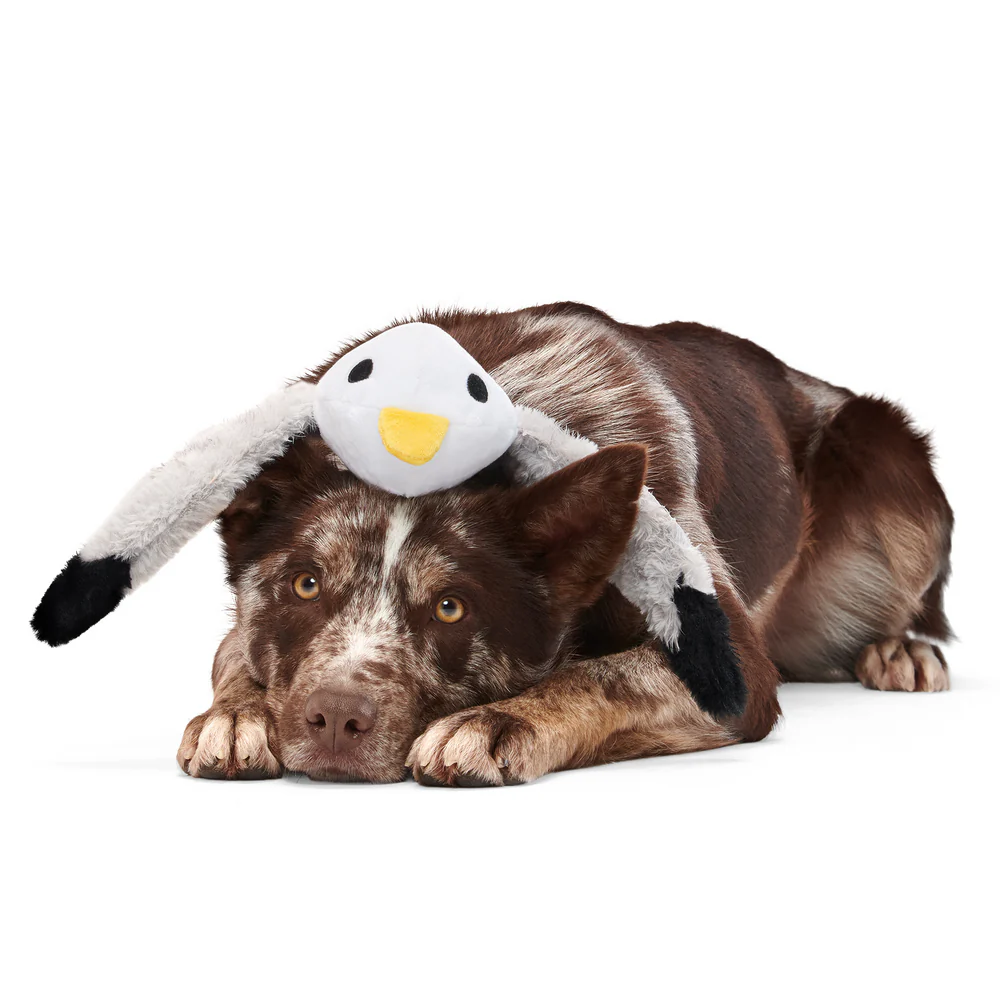 BARK Sully The Gully Dog Toy - Image 4