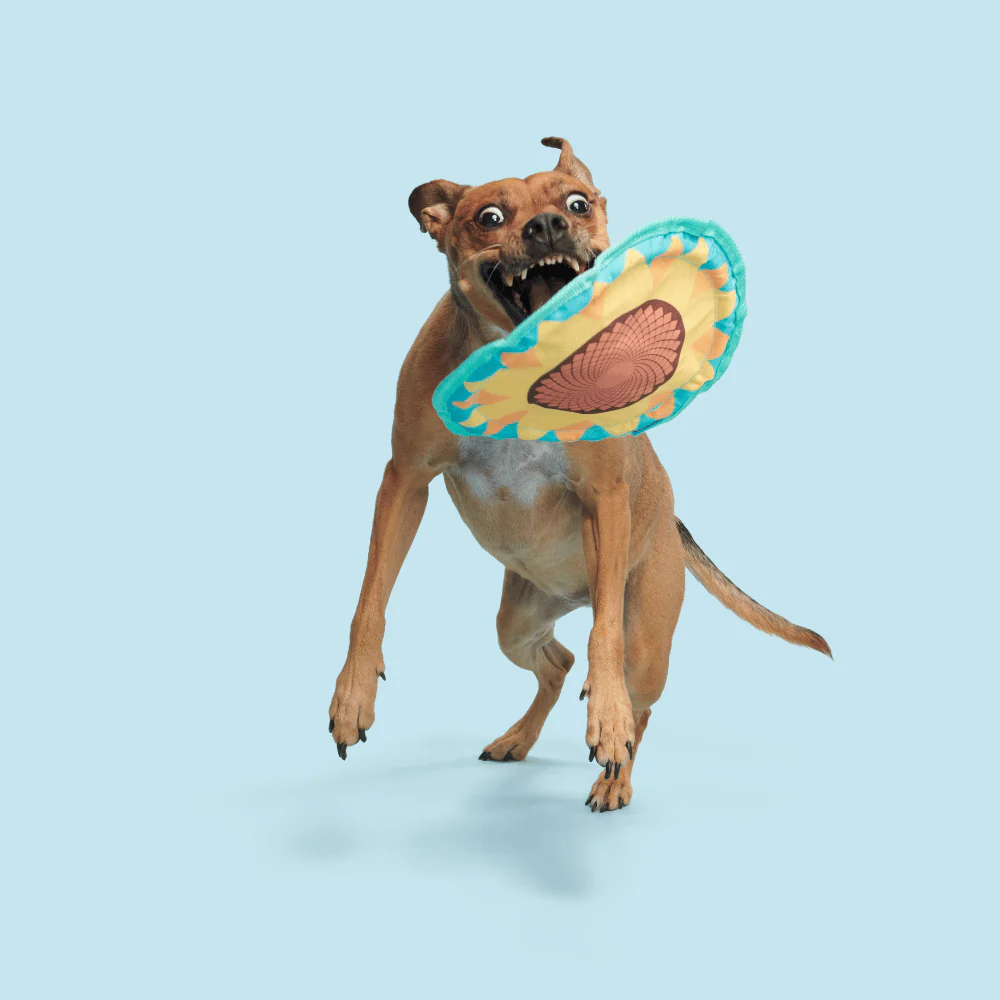 BARK Sunflower Flinger Dog Toy - Image 3
