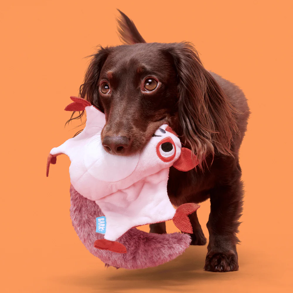 BARK Sydney Sugar Glider Dog Toy - Image 2