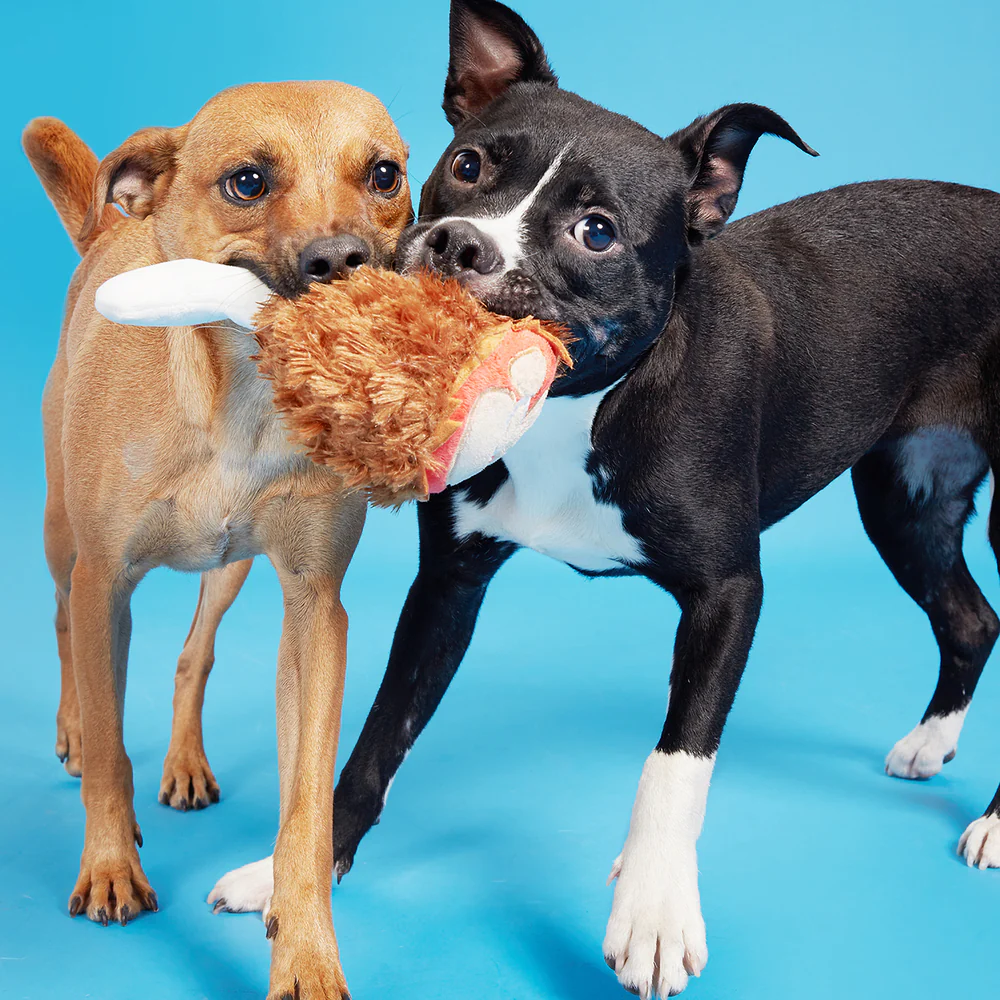 BARK Tavern Turkey Leg Dog Toy - Image 2