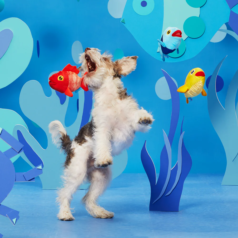 BARK The Groupers Dog Toy - Image 3